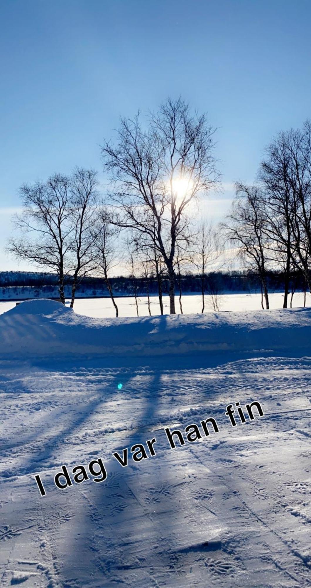 Cottage With Good Standard Next To Neiden River Extérieur photo
